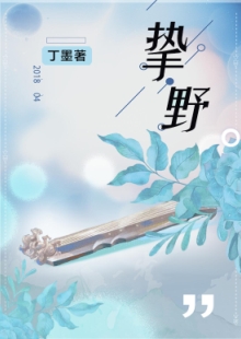 丁墨《摯野》 發(fā)表網(wǎng)站：云起書院 《摯野》將音樂(lè)筑夢(mèng)與愛(ài)情圓夢(mèng)巧妙地結(jié)合起來(lái)，表現(xiàn)當(dāng)代青年在喧囂生活中對(duì)愛(ài)情的執(zhí)著與堅(jiān)守。作品在浪漫的人生況味中隱含了積極的思想意義，情節(jié)設(shè)置出人意料又合情合理，敘事嫻熟，以獨(dú)特的浪漫意味在都市愛(ài)情寫作中自成一格。	