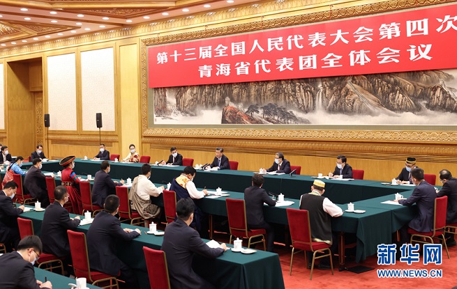 習(xí)近平參加青海代表團審議