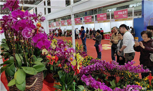 靠花卉引客，也靠“花外留客”