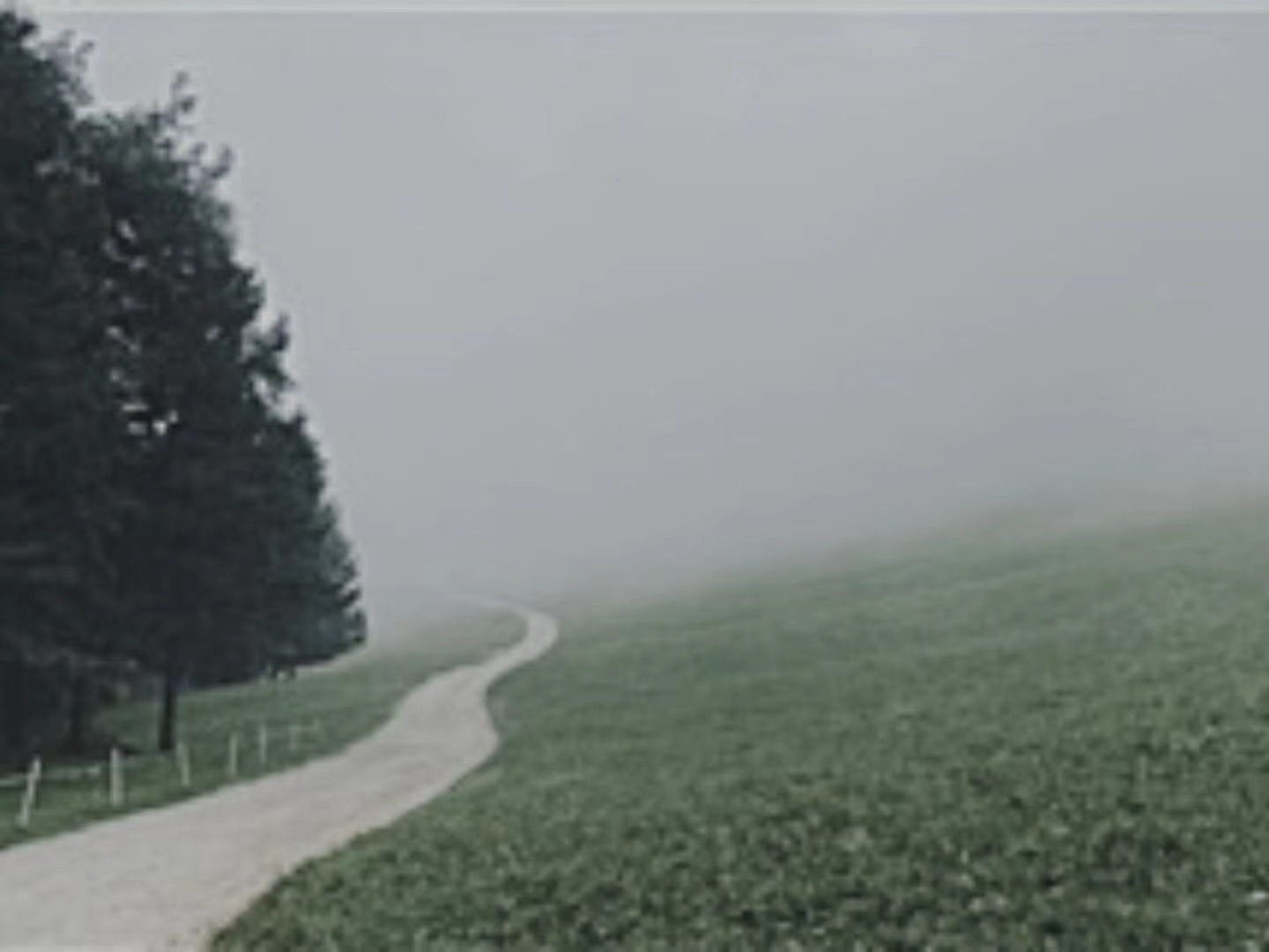 【輯一】南部山區(qū)：有時(shí)在大風(fēng)中，群山似乎在奔跑走在山間公路上/山崖在左，溪水在右/轉(zhuǎn)過兩座山，山崖到了右邊，溪水來到左邊[詳細(xì)]