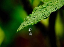 《谷雨》過了清明，就是谷雨。村莊里，田野里，村路上，草木間，人家的院落里，人們的臉上，到處都是春天的閑意思了。[詳細]