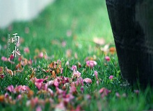 《雨水》轉(zhuǎn)眼就過了正月十五。芳村這地方，過了十五，才算是過了年。老輩子的風(fēng)俗，十五看燈，十六游百病。[詳細]