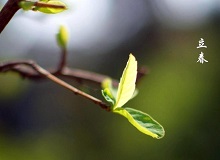 《立春》大年三十這一天，天難得放晴了。村子里到處明晃晃的，陽光映照著雪地，仿佛琉璃世界。[詳細]
