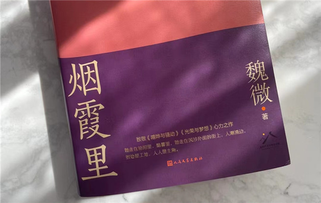 【特約評論】魏微：抒情為表，史詩為里