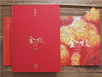 《金枝》：“虛置的父權(quán)”，使父親的角色無比尷尬
