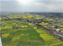 《家山》：生生不息的民族史詩(shī)　　在我的觀察當(dāng)中，很多傳統(tǒng)的鄉(xiāng)村社會(huì)的東西，現(xiàn)在還是保留著，傳統(tǒng)文化也保存得比較好……[詳細(xì)]