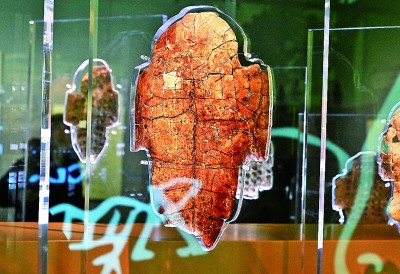 河南安陽殷墟博物館新館內(nèi)展出的刻辭卜甲。 新華社記者 李安攝 
