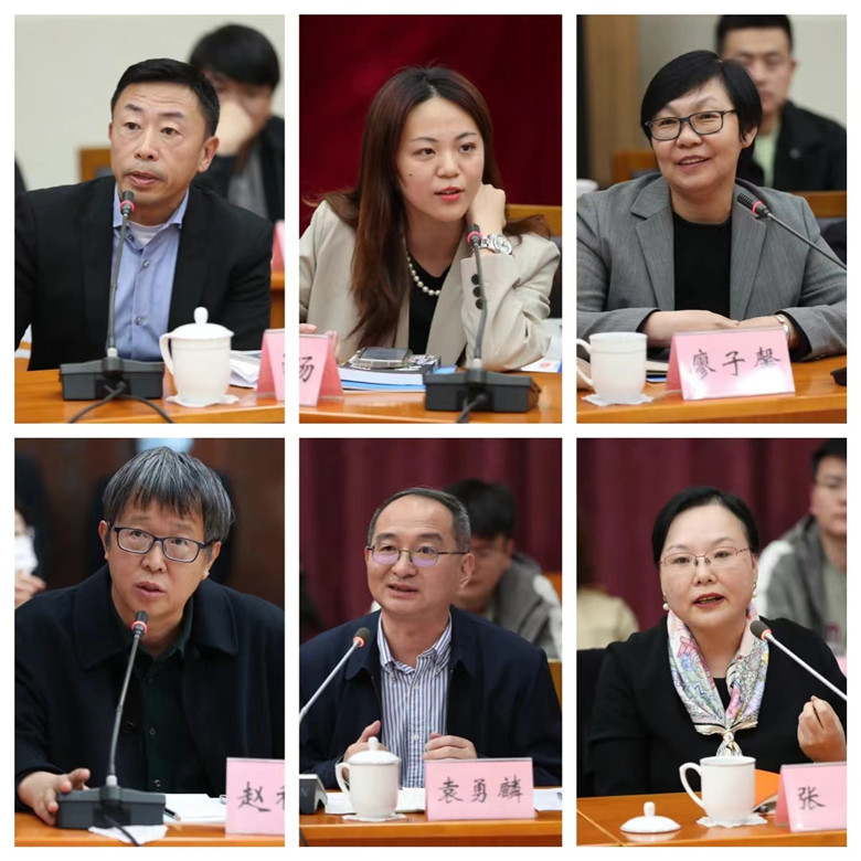 游江、程皎旸、廖子馨、趙稀方、袁勇麟、張莉發(fā)言