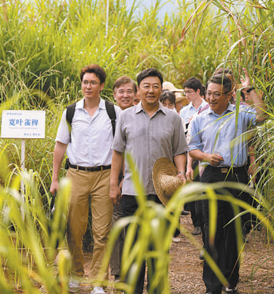 　　圖為電視劇《幸福草》劇照。 　　片方供圖