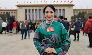 全國政協(xié)委員、山西藝術(shù)職業(yè)學(xué)院黨委委員、副院長苗潔